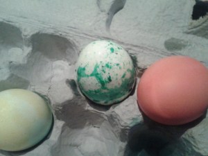 Old fashioned Easter egg dying